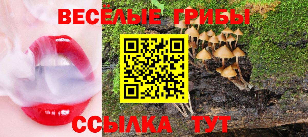 Новый Уренгой  Галлюциногенные грибы прущие грибы  Вход с VPN 